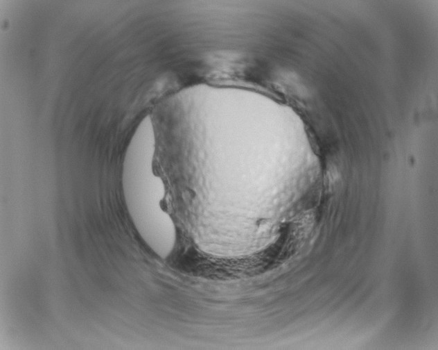 X0000065260041200603131213