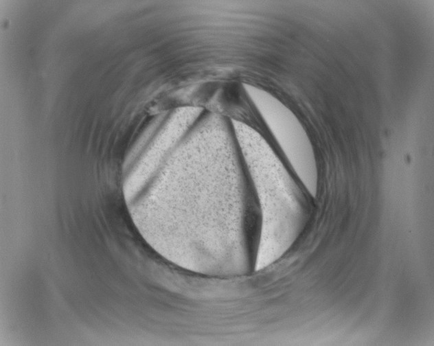 X0000065260044200603131213