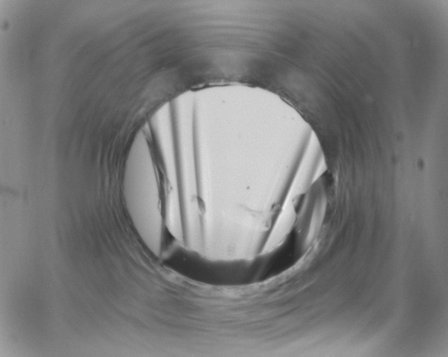 X0000065260045200603131213