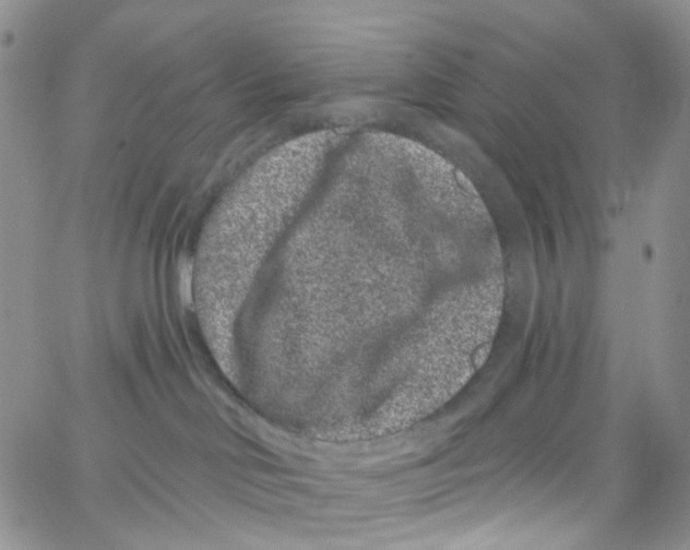 X0000065260046200603131213