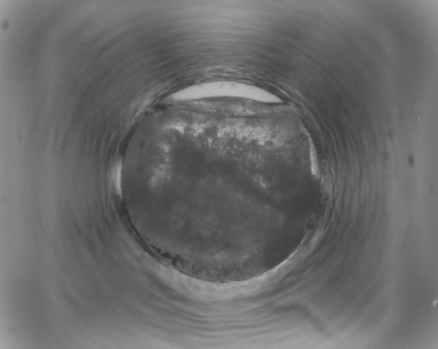 X0000065260047200603131213