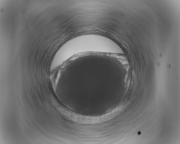 X0000065260048200603131213