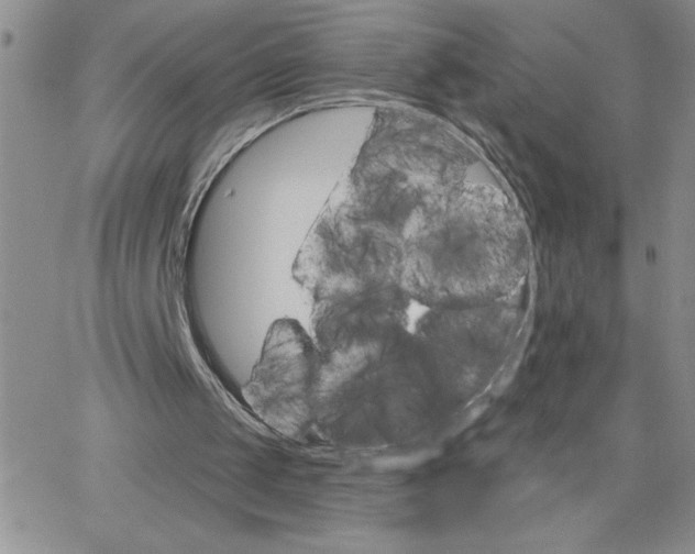 X0000065260049200603131212