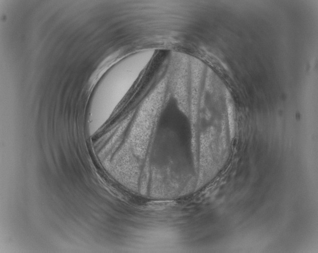 X0000065260051200603131213