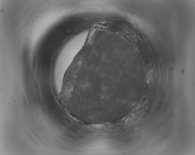 X0000065260052200603131213