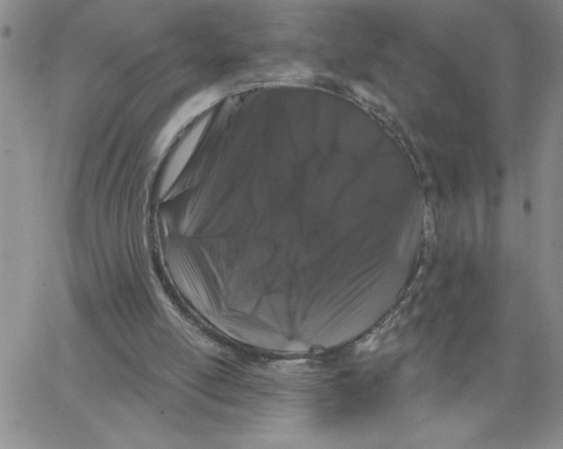 X0000065260054200603131213