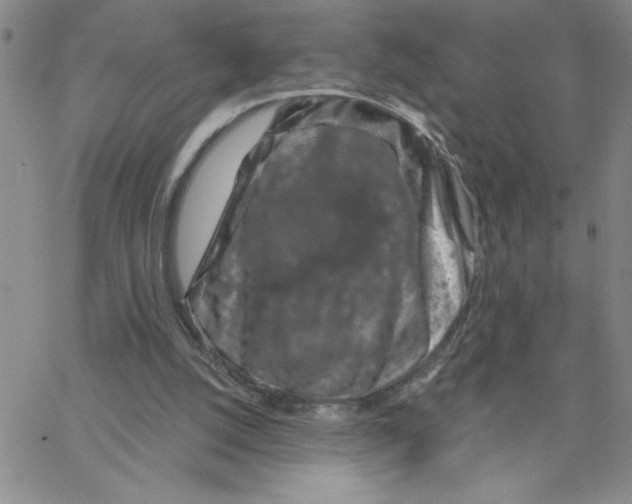 X0000065260056200603131213