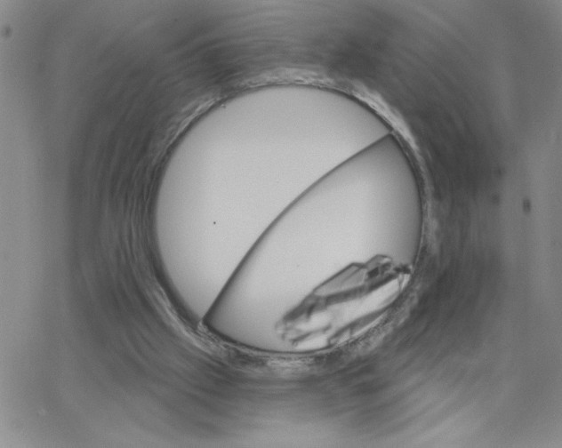 X0000065260057200603131213