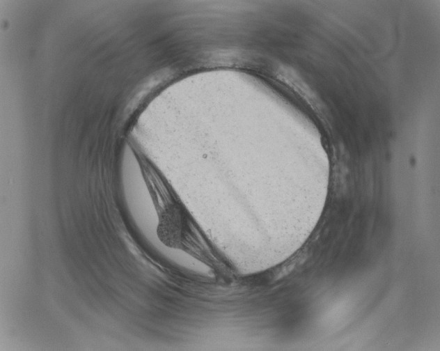 X0000065260058200603131213