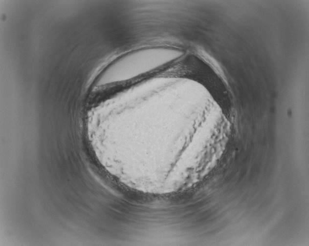 X0000065260059200603131213