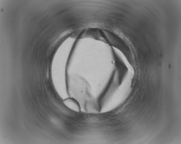 X0000065260062200603131213