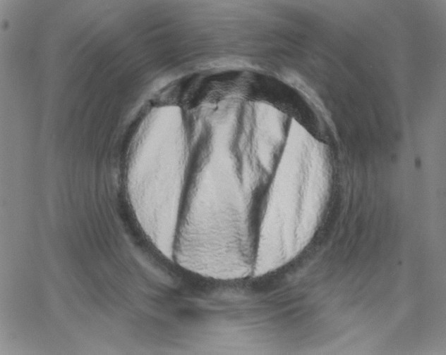 X0000065260063200603131213