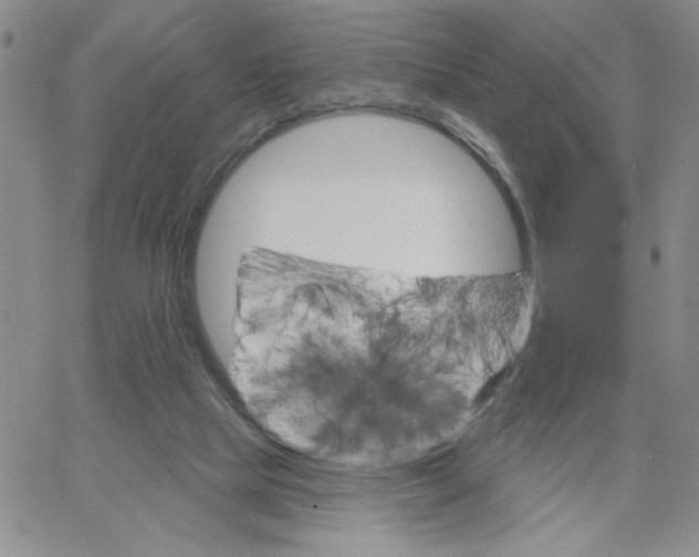 X0000065260065200603131213