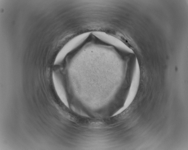 X0000065260066200603131213