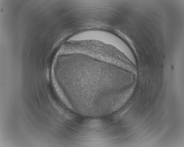 X0000065260067200603131213