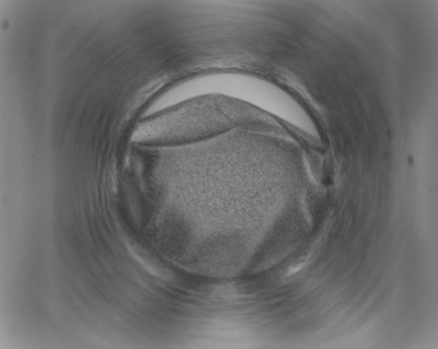 X0000065260068200603131213