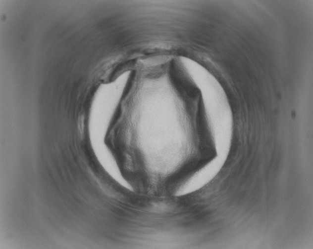 X0000065260070200603131213