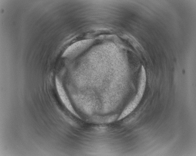 X0000065260071200603131213