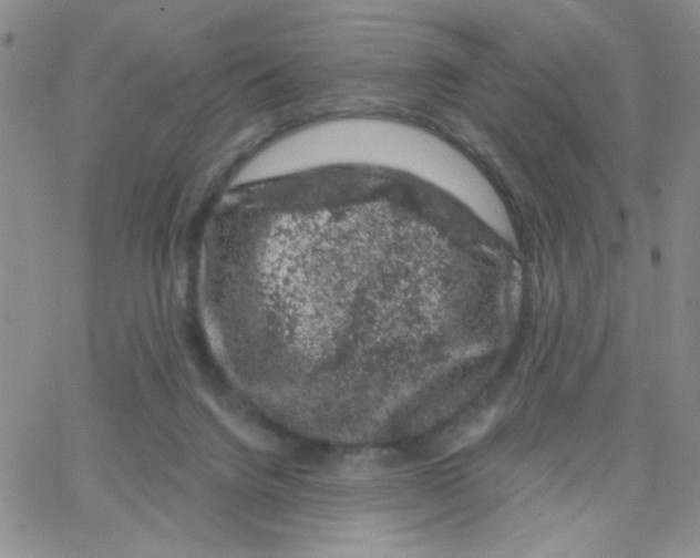 X0000065260072200603131213