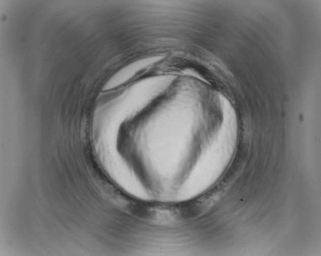 X0000065260073200603131213