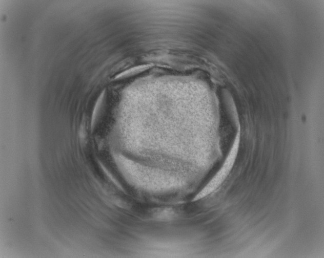 X0000065260074200603131213