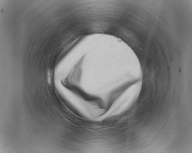 X0000065260075200603131213