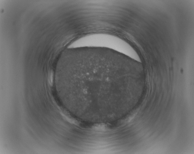 X0000065260076200603131213