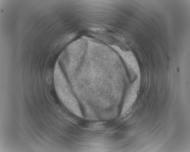 X0000065260078200603131213