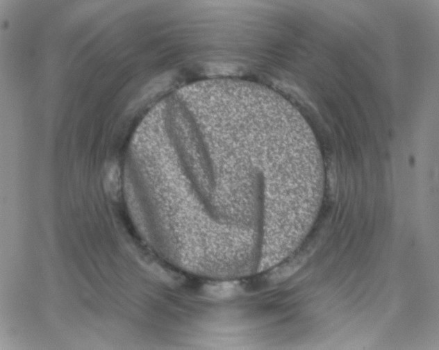 X0000065260079200603131213