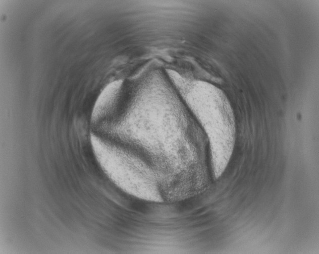 X0000065260081200603131213