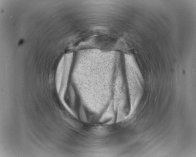 X0000065260082200603131213