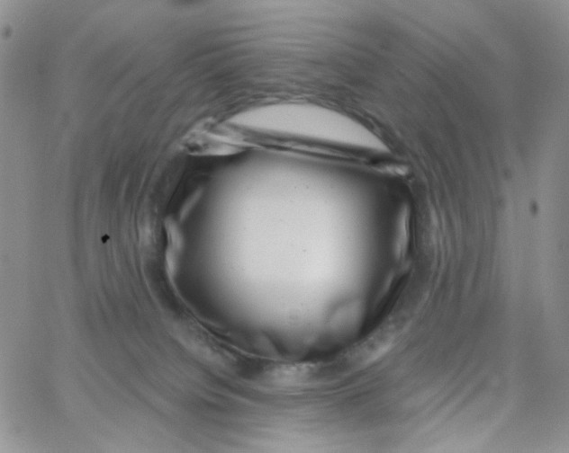 X0000065260084200603131213