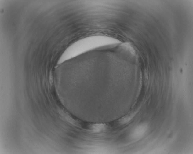 X0000065260085200603131213