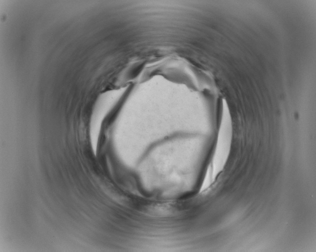 X0000065260086200603131213