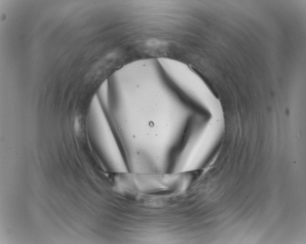 X0000065260088200603131213