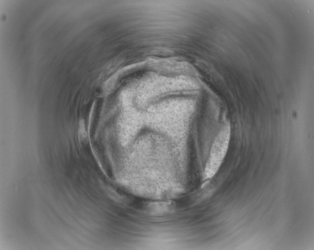 X0000065260089200603131213