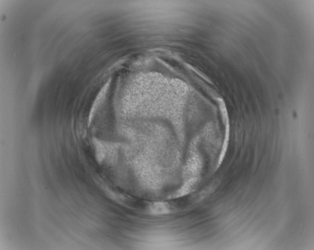 X0000065260091200603131213