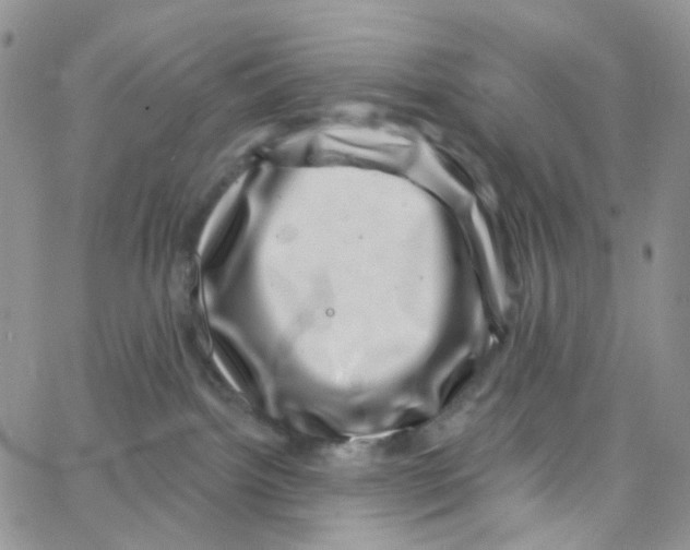 X0000065260092200603131213