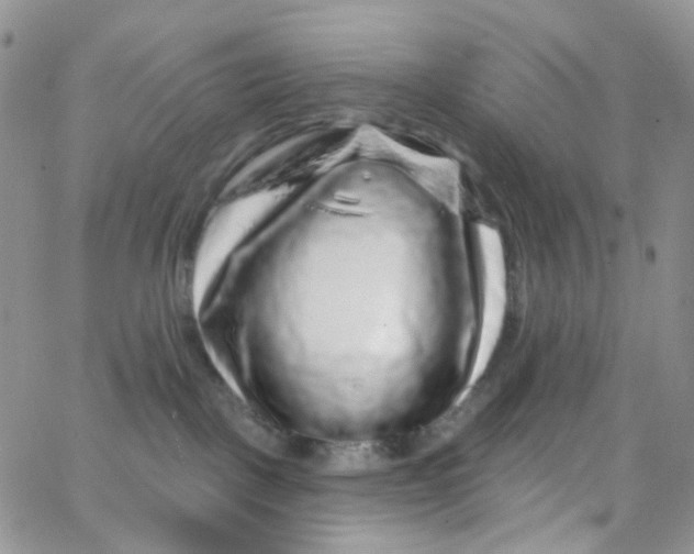 X0000065260093200603131213