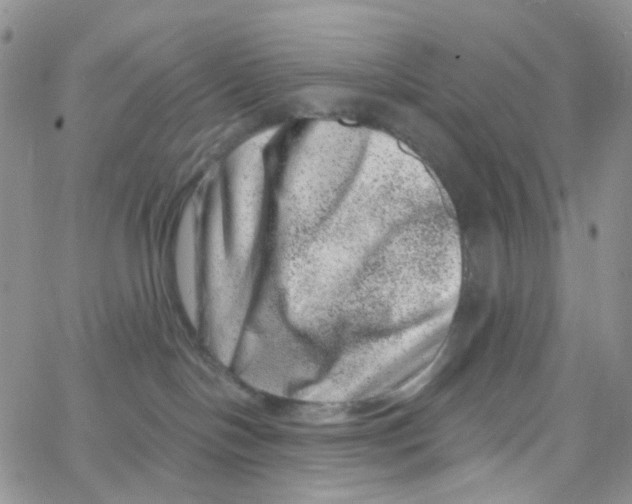 X0000065260094200603131213