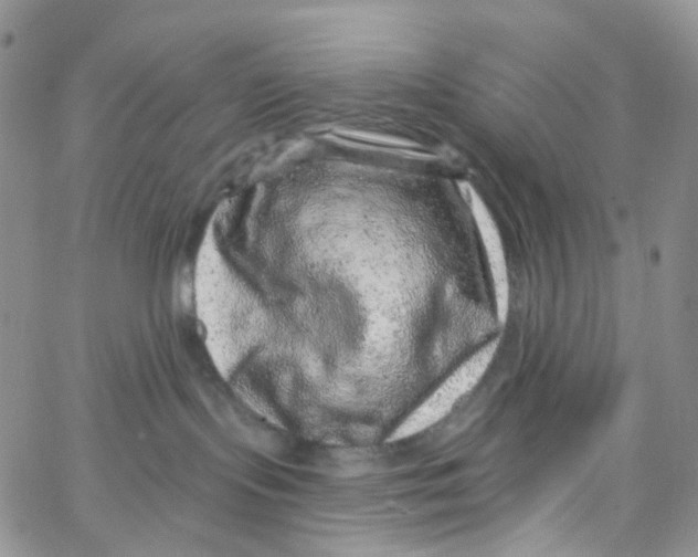 X0000065260095200603131213