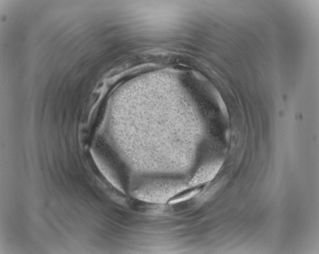 X0000065260096200603131213