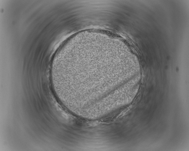 X0000065260098200603131212