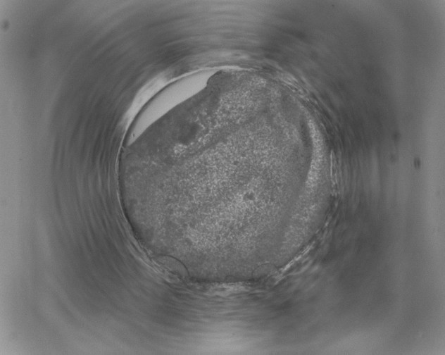 X0000065260099200603131212