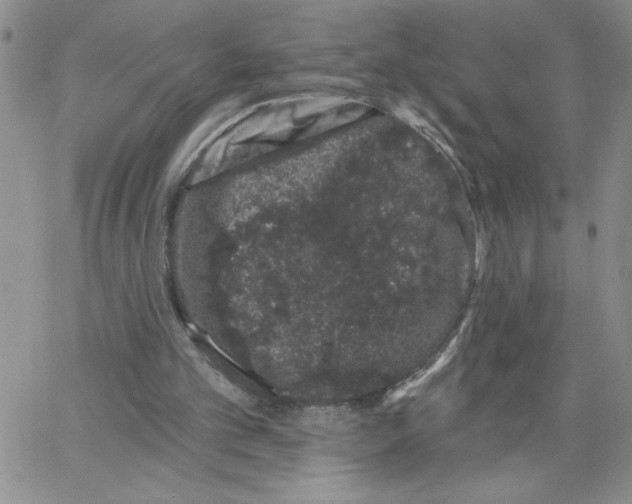 X0000065260101200603131212