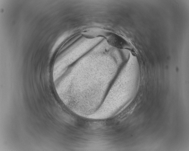 X0000065260102200603131212