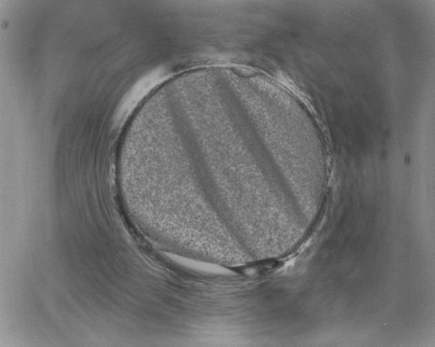 X0000065260103200603131212