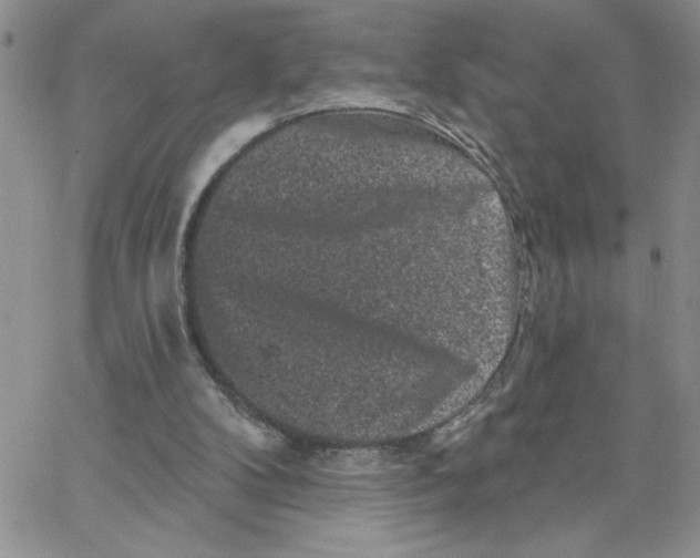 X0000065260104200603131212