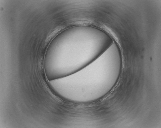 X0000065260105200603131212