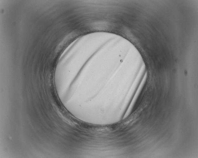 X0000065260106200603131212